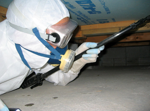 床下点検・白アリ駆除